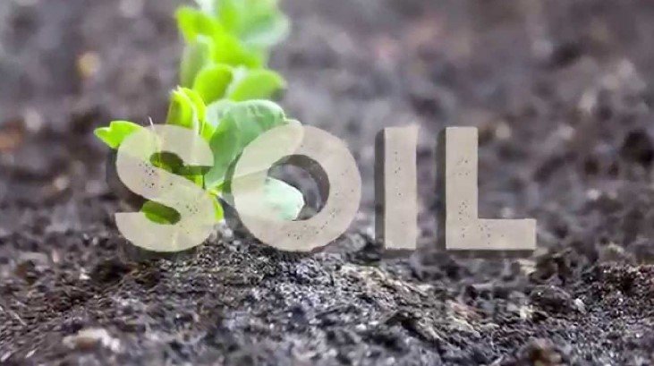 World Soil Day 2017