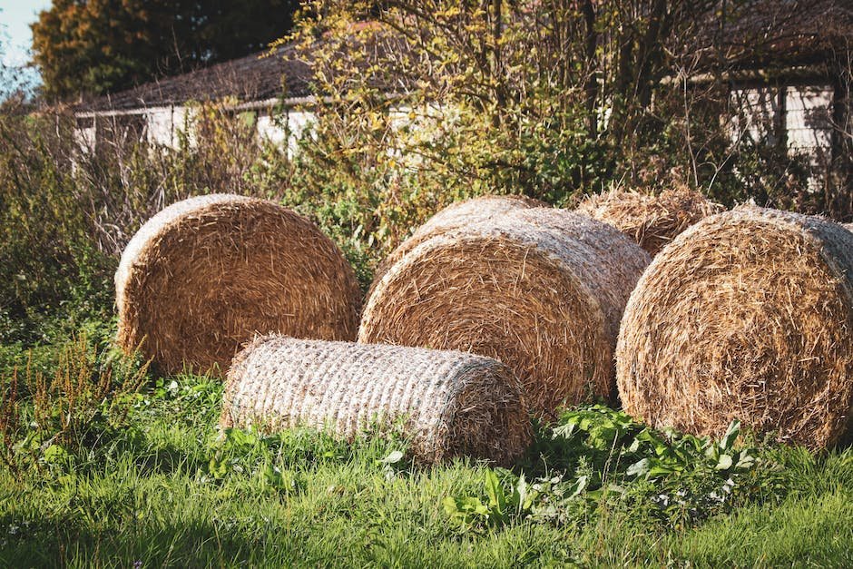 bales of hay per acre