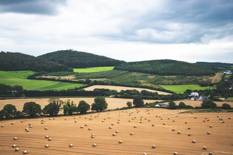 bales of hay per acre