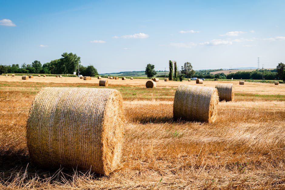 how many flakes are in a bale of hay